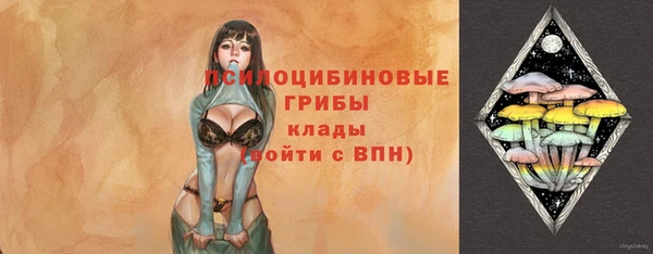 тгк Алексеевка