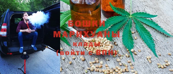 ПСИЛОЦИБИНОВЫЕ ГРИБЫ Алексин