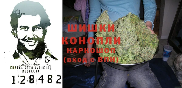 дживик Арсеньев
