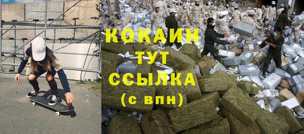 ПСИЛОЦИБИНОВЫЕ ГРИБЫ Алексин