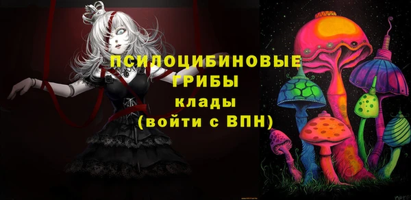 спиды Алзамай